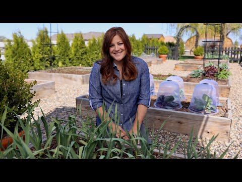 Raised Beds Guide for Beginners!