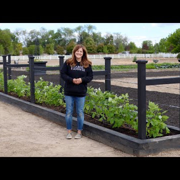 Planting Raspberries in Our New Raised Beds!