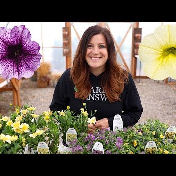 Proven Winners Plant Haul!