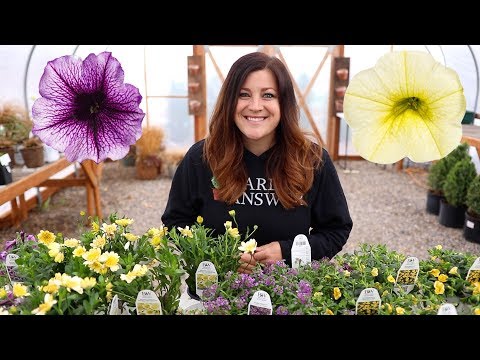 Proven Winners Plant Haul!