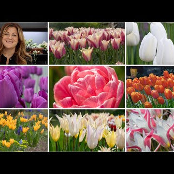 My 2022 Fall Bulb Order