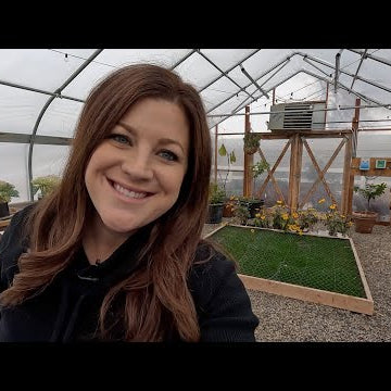 Planting & Growing Lettuce in Winter!