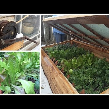 My Mom's AWESOME Cold Frame!