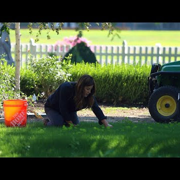Weeding the New Grass & Planting Dogwoods and Ornamental Grass!