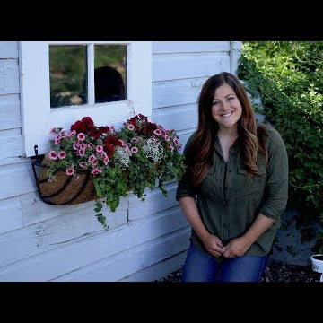 Planting our Potting Shed Window Basket