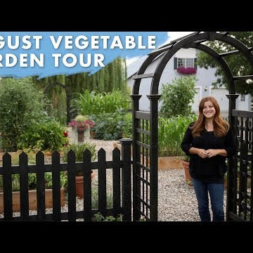 August Vegetable Garden Tour