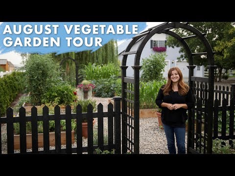 August Vegetable Garden Tour