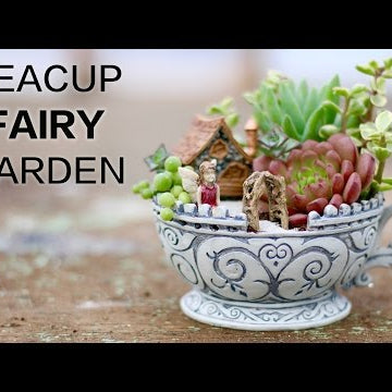 Teacup Fairy Garden