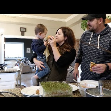 Growing Sprouts for a Thanksgiving Turkey Burger!
