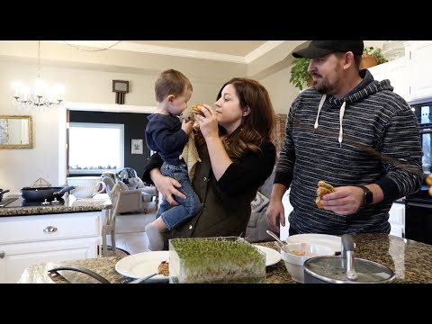 Growing Sprouts for a Thanksgiving Turkey Burger!