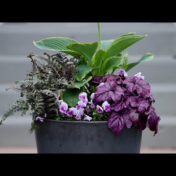 Planting a Part-Shade Container for Our Front Porch!