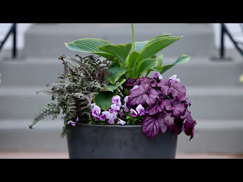 Planting a Part-Shade Container for Our Front Porch!