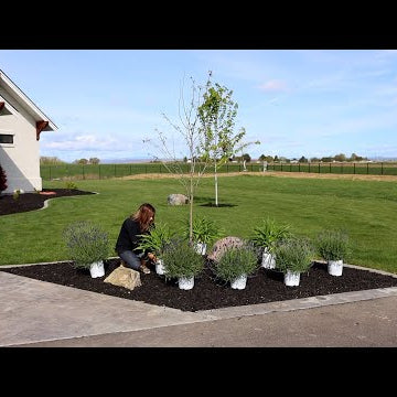 Big Planting Day at Our Friend’s House!