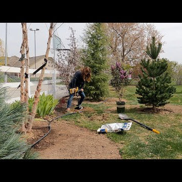 Planting a Pineapple, Crabapple & Lilac + New Obelisks for the Raised Beds!