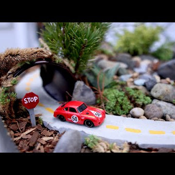 Hot Wheels Miniature Garden