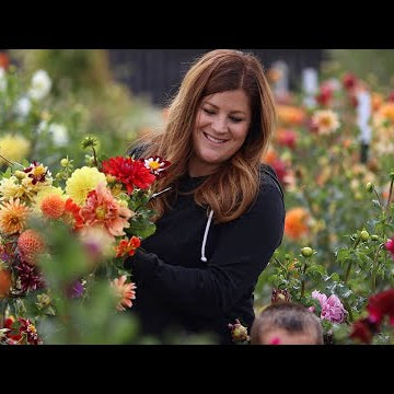 Making a Bright & Bold Arrangement from the Cut Flower Garden!