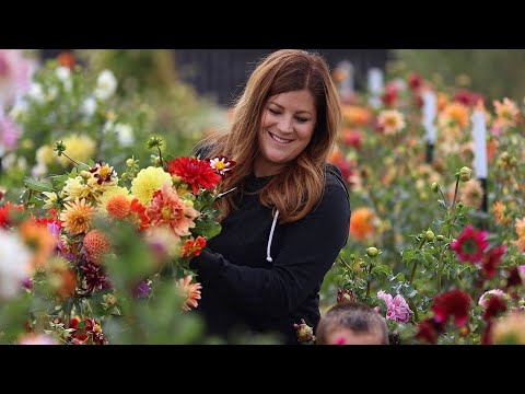 Making a Bright & Bold Arrangement from the Cut Flower Garden!