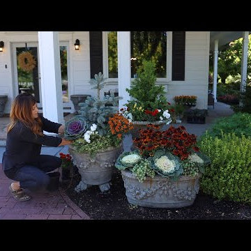 Planting 10 Containers for Fall!