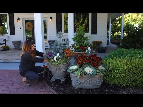 Planting 10 Containers for Fall!
