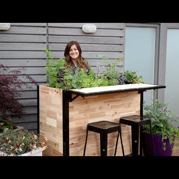My Favorite Herbs in a 'Plant a Bar'