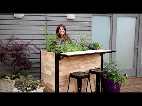 My Favorite Herbs in a 'Plant a Bar'