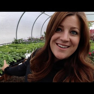 Planting Out Perennials I Grew From Seed!