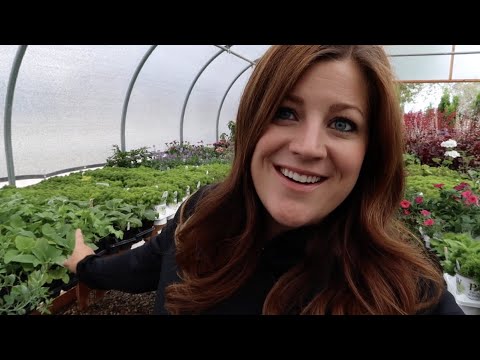 Planting Out Perennials I Grew From Seed!