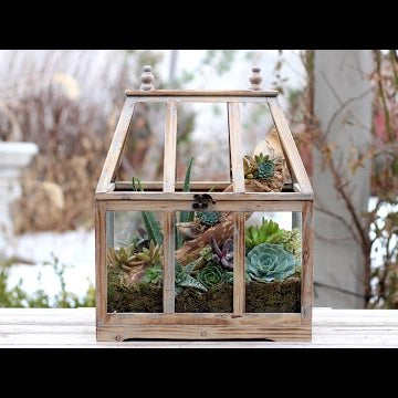 Terrarium Succulent Arrangement