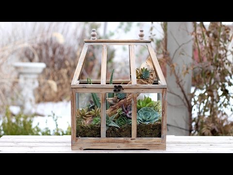 Terrarium Succulent Arrangement