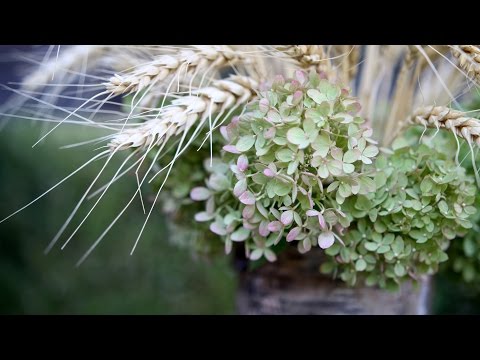 Hydrangea Wheat Arrangement