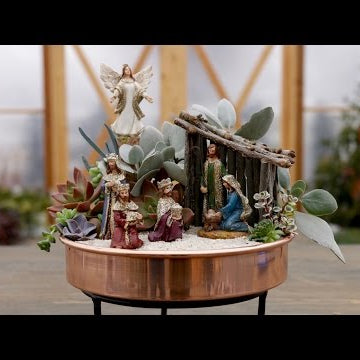 Succulent Nativity