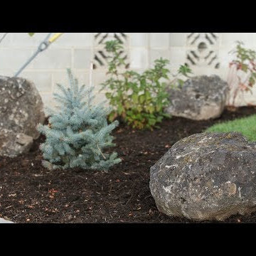 Landscape Makeover Part 6: Placing Rocks!