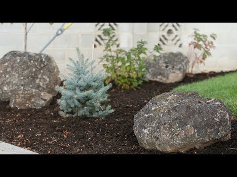 Landscape Makeover Part 6: Placing Rocks!