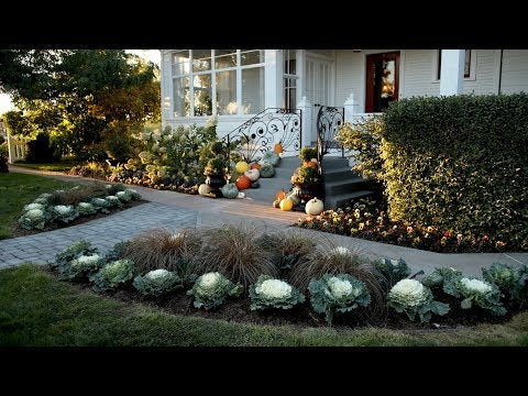 Planting Up Our Front Entrance For Fall!