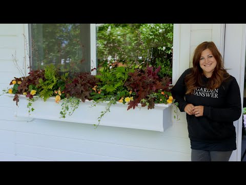 Planting a Shaded Windowbox!