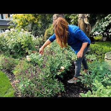 How We Maintain the Garden by Using Zones! TUESDAY Zone!