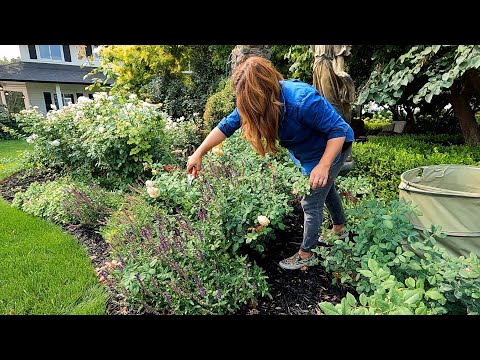 How We Maintain the Garden by Using Zones! TUESDAY Zone!