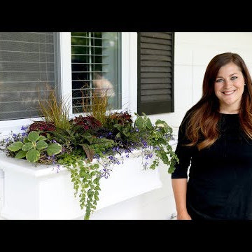 Planting Another Shade Windowbox