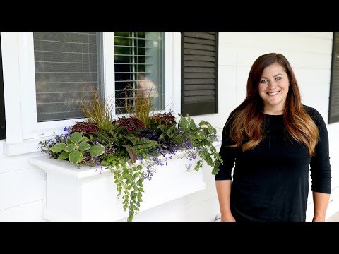 Planting Another Shade Windowbox