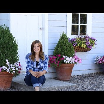 Potting Shed Makeover