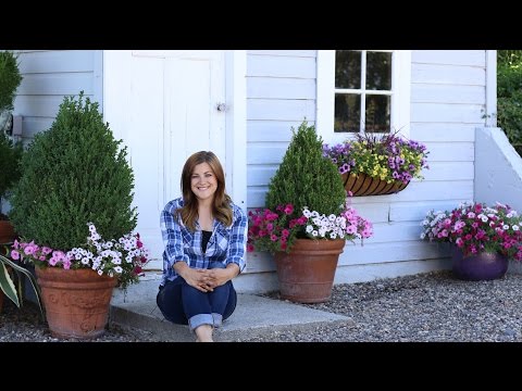 Potting Shed Makeover