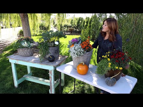 Four Fun Fall Containers!