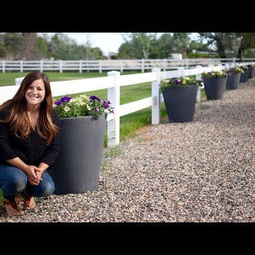 Planting up Our Self Watering Containers