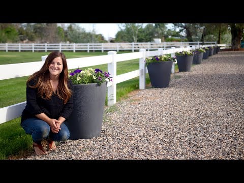 Planting up Our Self Watering Containers