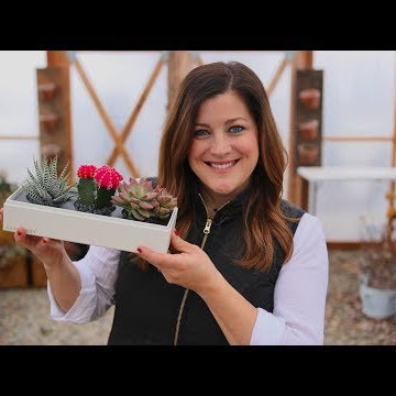 Succulent Unboxing & Valentine’s Giveaway!