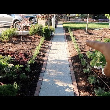 Planting Rows of Lavender