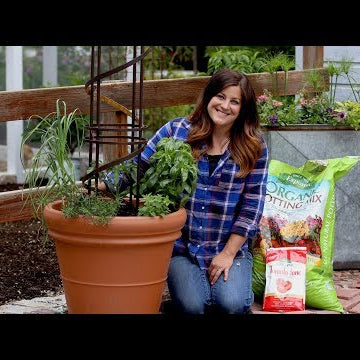 Spaghetti Planter!