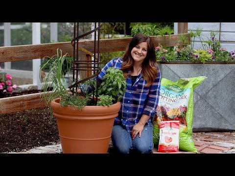 Spaghetti Planter!