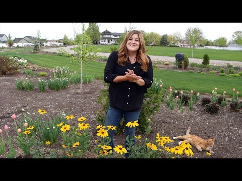 May Garden Tour 2.0!  (So Much Color Since the Last Tour!)