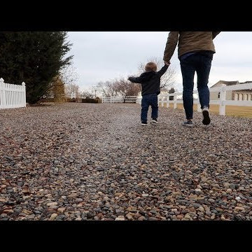 Hauling Wood + Root Cellar Tour!